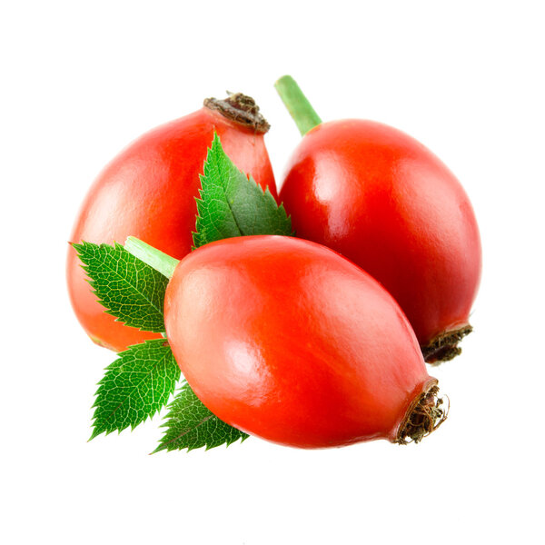 Hip rose with leaf isolated on white