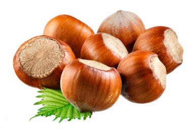 beyaz zemin üzerinde yaprakları ile fındık