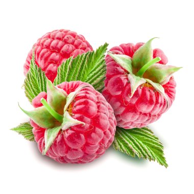 Beyaz arka plan üzerinde izole bir ahududu