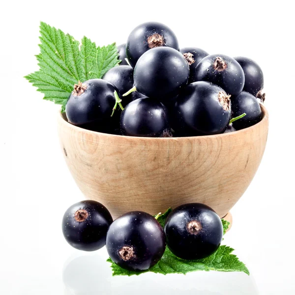 Black currant isolated — Stock Photo, Image