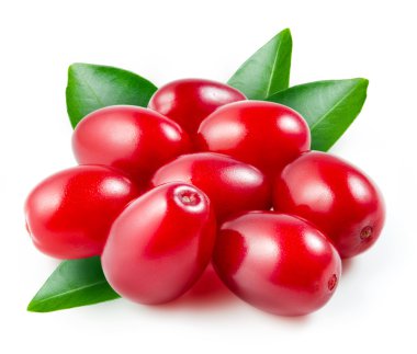 Cornels met bladeren geïsoleerd op wit