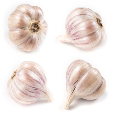 beyaz izole sarımsak. koleksiyonu