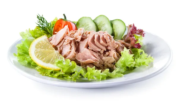 Ingeblikte tonijn met plantaardige salade — Stockfoto