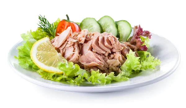 Ingeblikte tonijn met plantaardige salade — Stockfoto