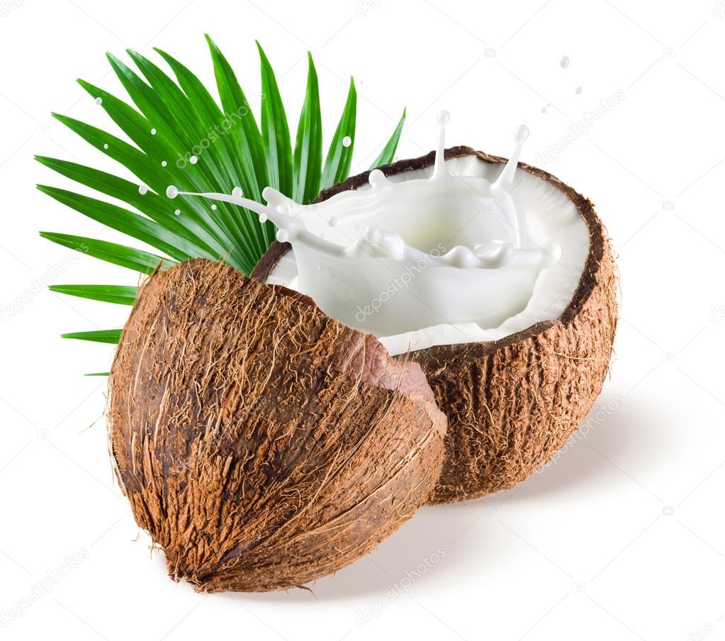 Coconuts with milk splash and leaf on white background