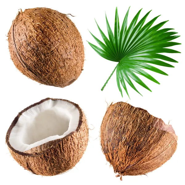 Kokosnoten met palm leaf op witte achtergrond. collectie — Stockfoto