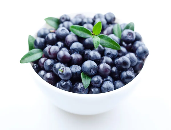 Blaubeeren mit Blättern im Teller. isoliert auf weißem Hintergrund — Stockfoto