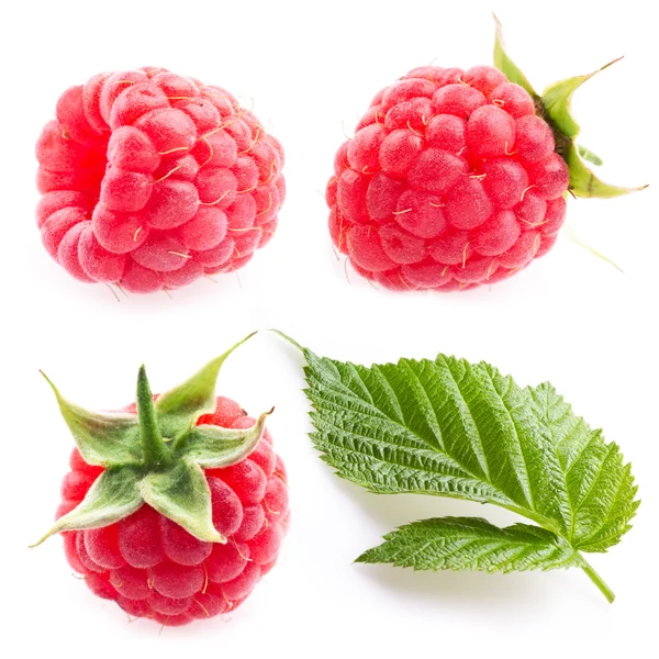 Collection. raspberries and leaf isolated on white background — Stock Photo, Image