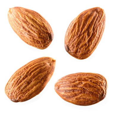 badem. Beyaz arka plan üzerinde izole fındık toplama