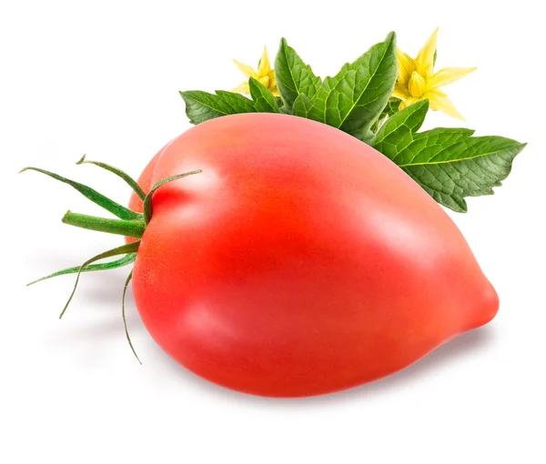 Ντομάτα απομονωμένη σε λευκό φόντο — Φωτογραφία Αρχείου