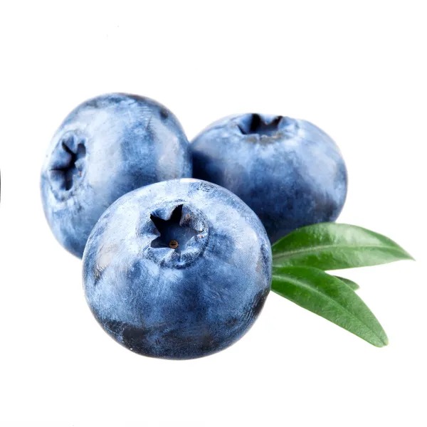 Blaubeeren isoliert auf weiß — Stockfoto