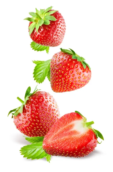 Fallande jordgubbar. Isolerad på en vit bakgrund. Stockbild