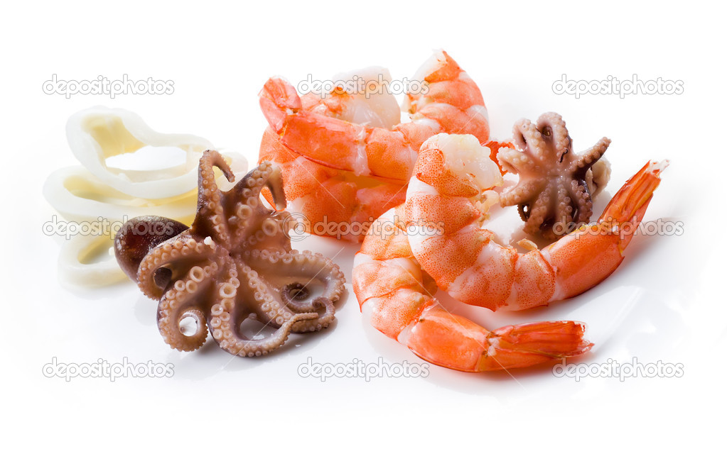 Shrimps, octopus, and squid. Seafood isolated