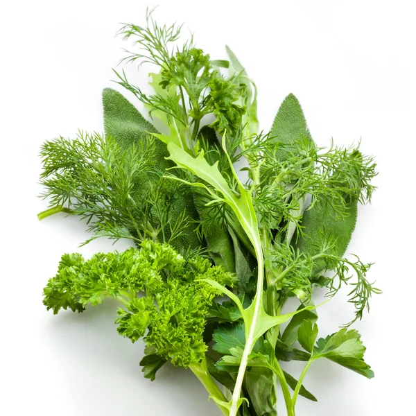 Verschiedene frische mediterrane Kräuter. Majoran, Petersilie, Dill, Thym — Stockfoto