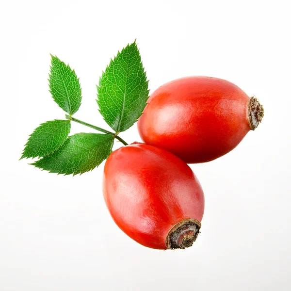 Rose hip. twee bessen geïsoleerd op een witte achtergrond. — Stockfoto