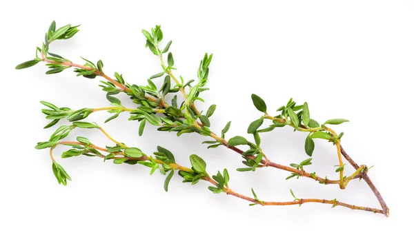 Fresh thyme on white background — Stock Photo, Image