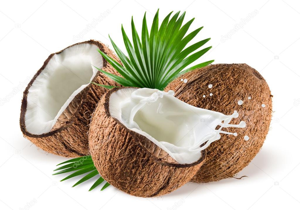 Coconuts with milk splash and leaf on white background