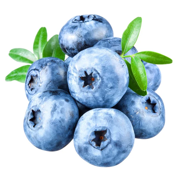 Blueberries with leaves on white background — Stock Photo, Image