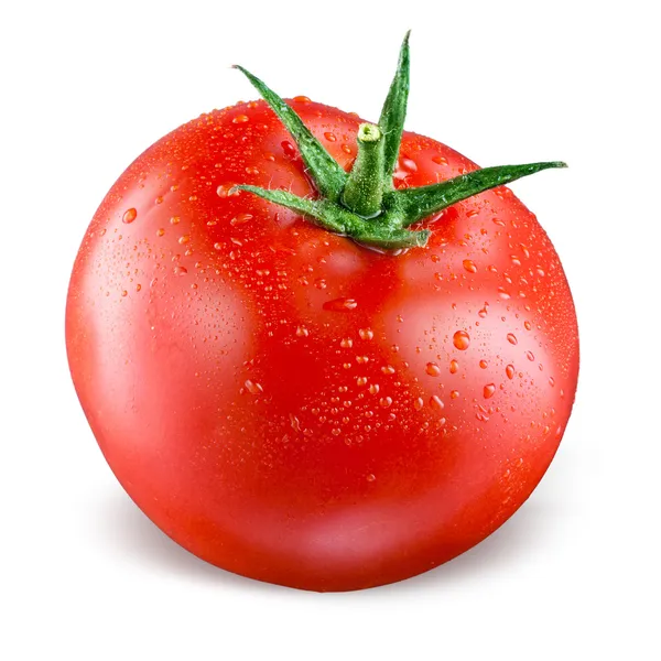 Tomate con gotas aisladas sobre fondo blanco — Foto de Stock