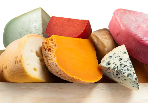 다양 한 종류의 치즈. 매크로 구성 — 스톡 사진