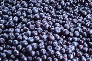 yaban mersini arka plan. taze çilek seçilmiş