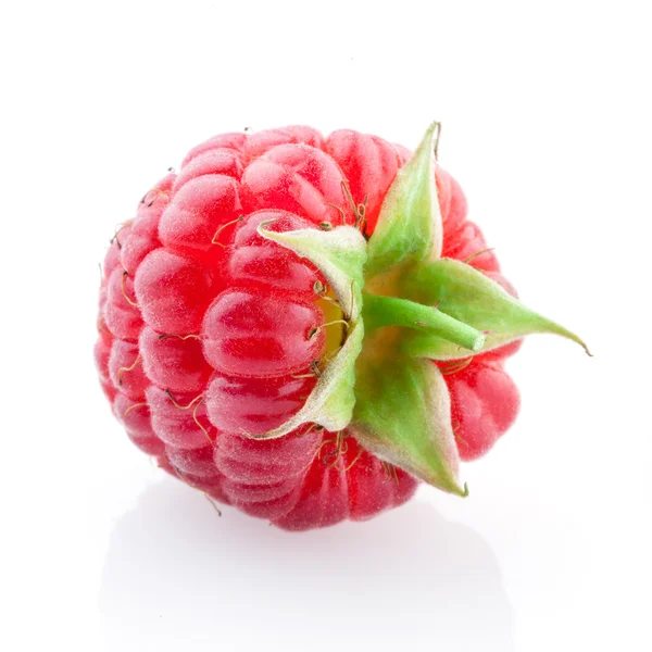 Raspberry — Stock Photo, Image