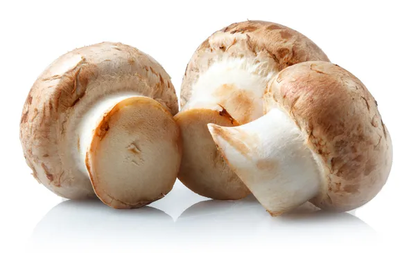 Mushrooms. Royal champignons on a white background Royalty Free Stock Images