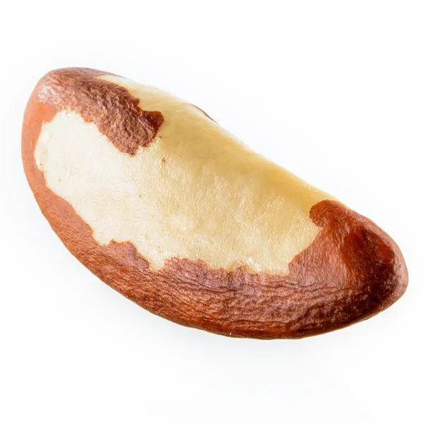 Brezilya cevizi beyaz arka planda izole