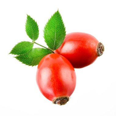 Rose hip isolated on a white background. clipart