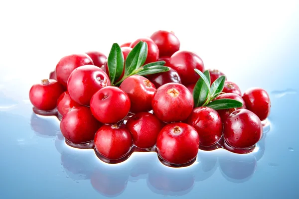 Cranberry in water geïsoleerd — Stockfoto