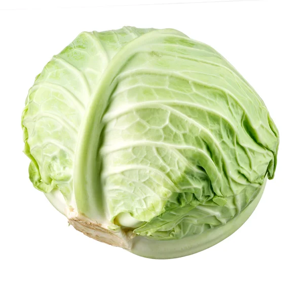 Cabbage — Stock Photo, Image