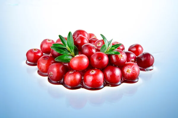 Cranberry in water — Stockfoto