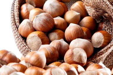 NAT'lar. Grup kajuya bir çantada (sac, saccule)