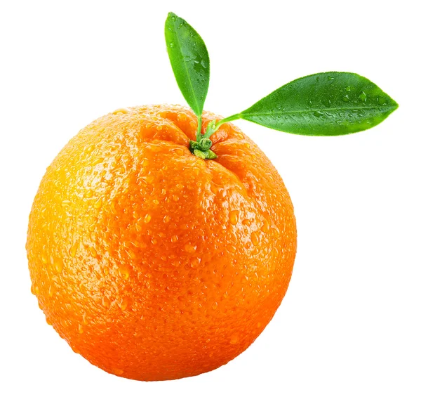 Влажные оранжевые фрукты с листьями, выделенными на белом. С обрезанием пути — стоковое фото