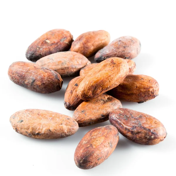Pile of cocoa beans on white. Shallow depth of field. — Stock Photo, Image