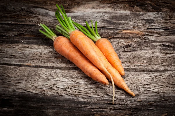 Fresh organic carrots — Stock Photo, Image
