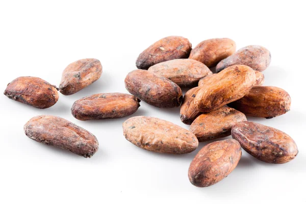 Cocoa beans isolated on white — Stock Photo, Image