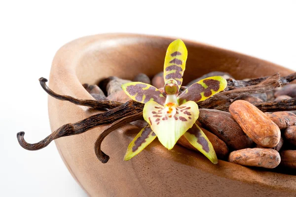 Cacaobonen en vanille bloem — Stockfoto