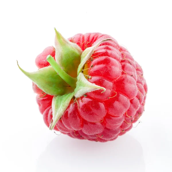 Raspberry — Stock Photo, Image