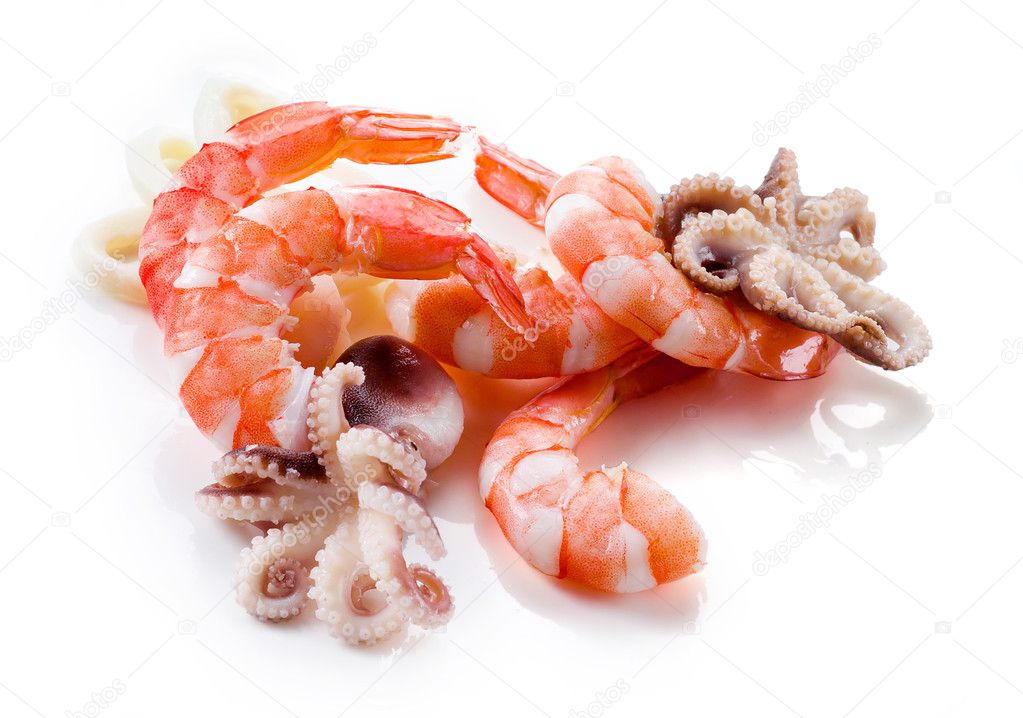 Seafood isolated. Shrimps, octopus and squid.