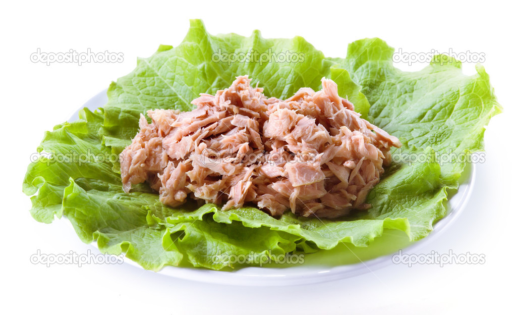 Canned tuna isolated on white background