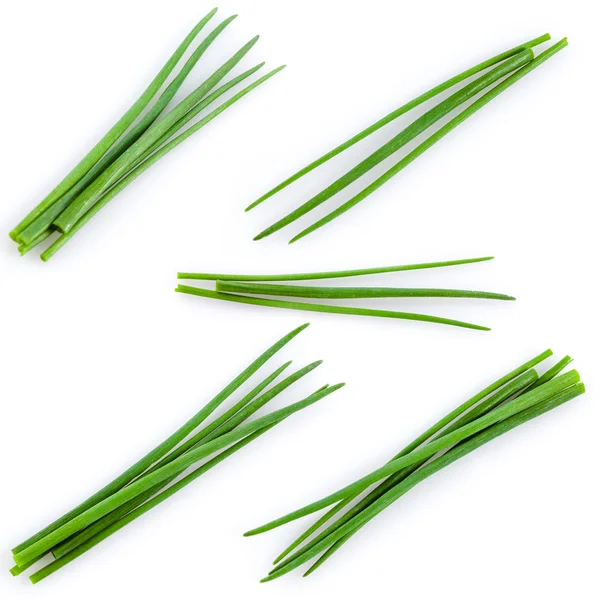 Young green onion set isolated on white — Stock Photo, Image