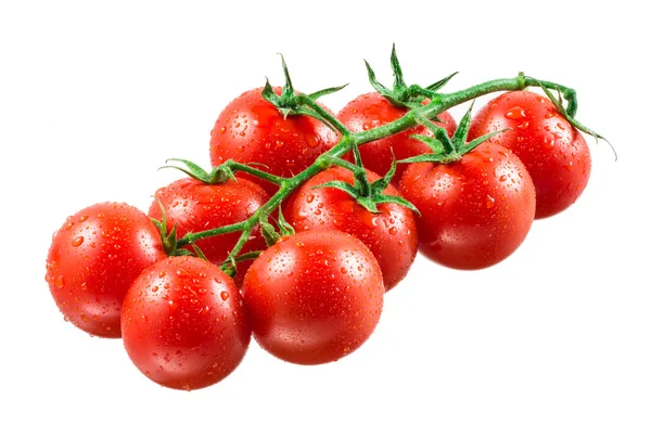 Tomates de cereja com baixas no ramo . — Fotografia de Stock