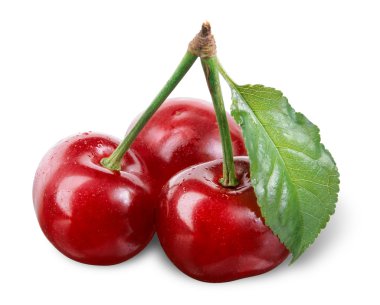 kiraz yaprağı üzerinde beyaz izole. kırpma yolu