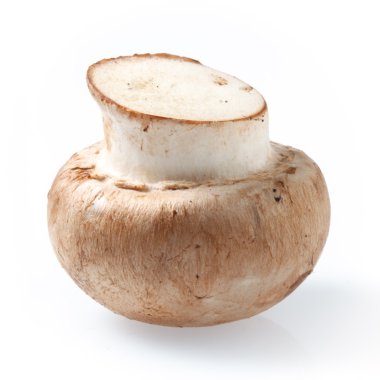 Beyaz arka plan üzerinde kesme izole kahverengi champignon mantar