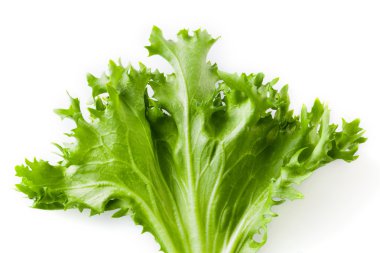 taze marul üzerinde beyaz izole. Gıda arka plan