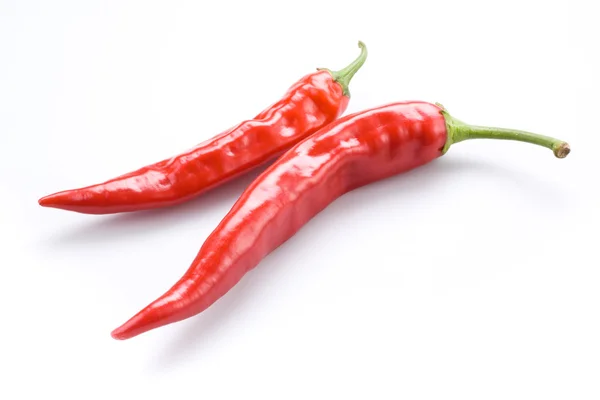 Pálivé chilli papričky — Stock fotografie