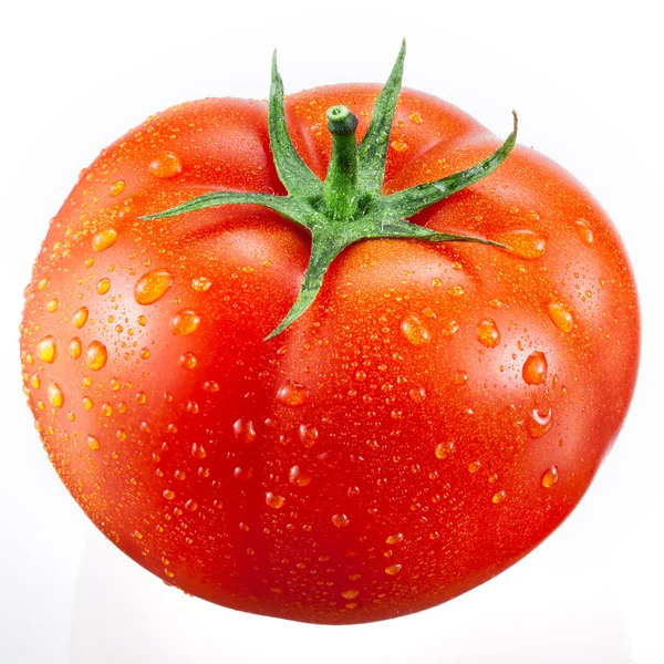番茄，有白色背景的水滴隔离 — 图库照片