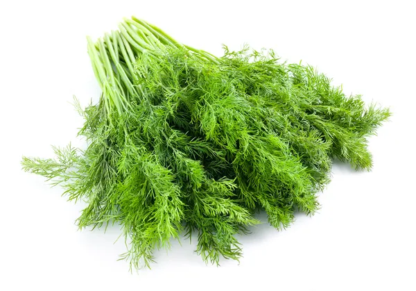 Färsk dill — Stockfoto