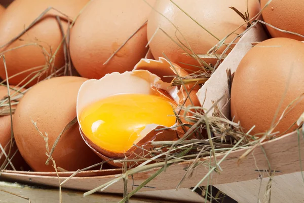 Huevos de pollo ecológicos — Foto de Stock